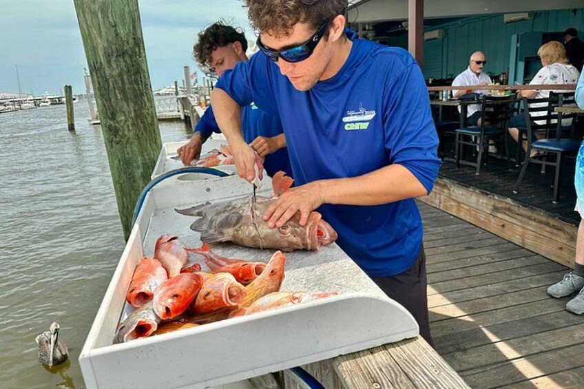 Naples 6 Hour Deep Sea Fishing 3
