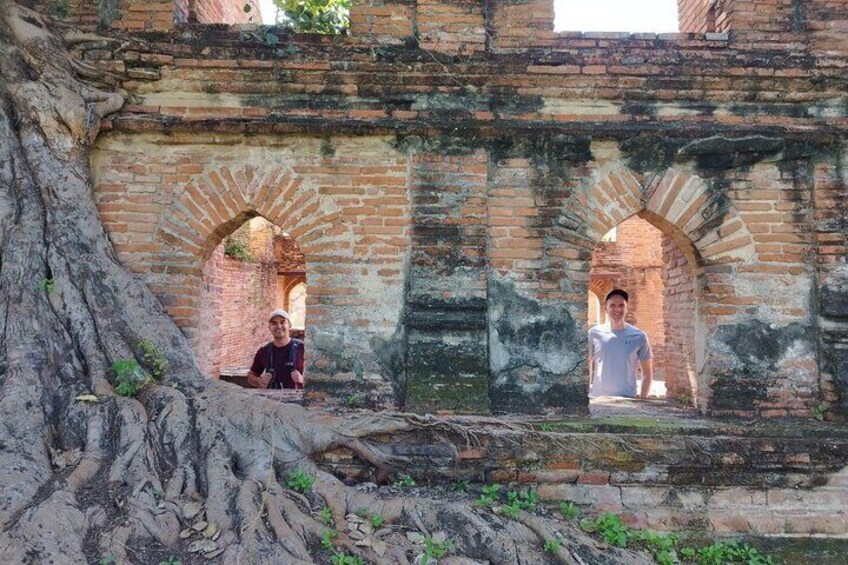 An ancient brick structure with arched openings and a large tree growing in front. 5