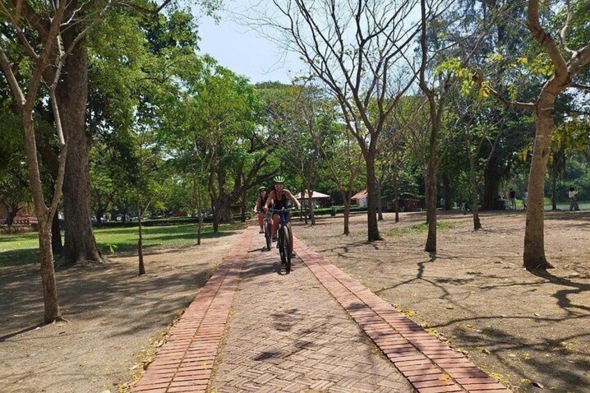 Colors of Ayutthaya Full-Day Bike Tour 3