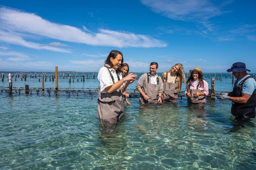 A group of people in shallow water, possibly engaged in an educational or environmental activity, with a clear sky and a distant pier. 4