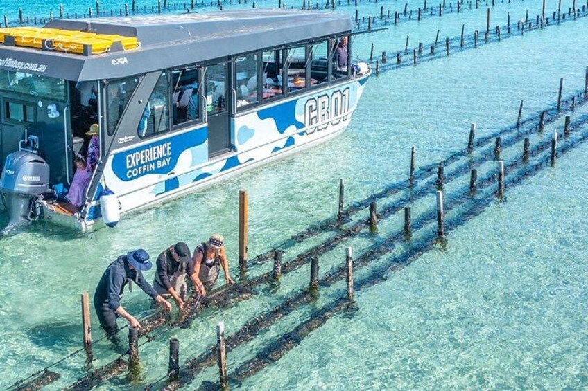 A boat named 'GRO1' with 'EXPERIENCE COFFIN BAY' written on its side, docked at a pier with people working on underwater structures. 1