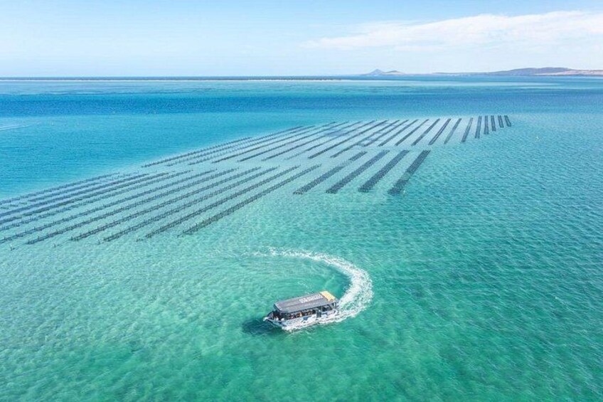 An aerial view of a large body of water with a boat creating a wake. 2