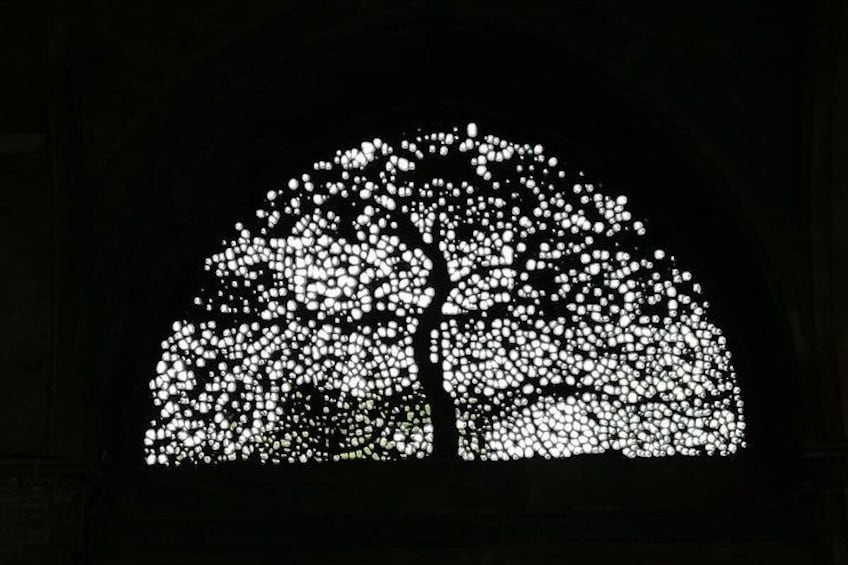 Tree of life 1