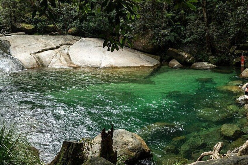 Fun, Falls and Forest Day Trip from Cairns 2