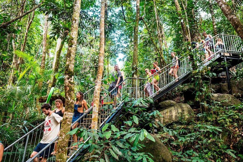 Informative Rainforest Walks 3