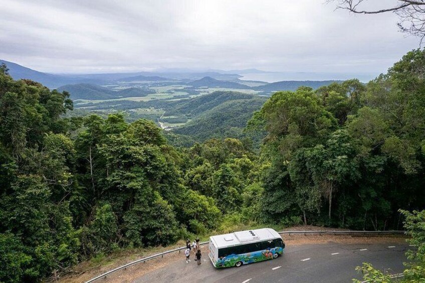 Fun, Falls and Forest Day Trip from Cairns 3