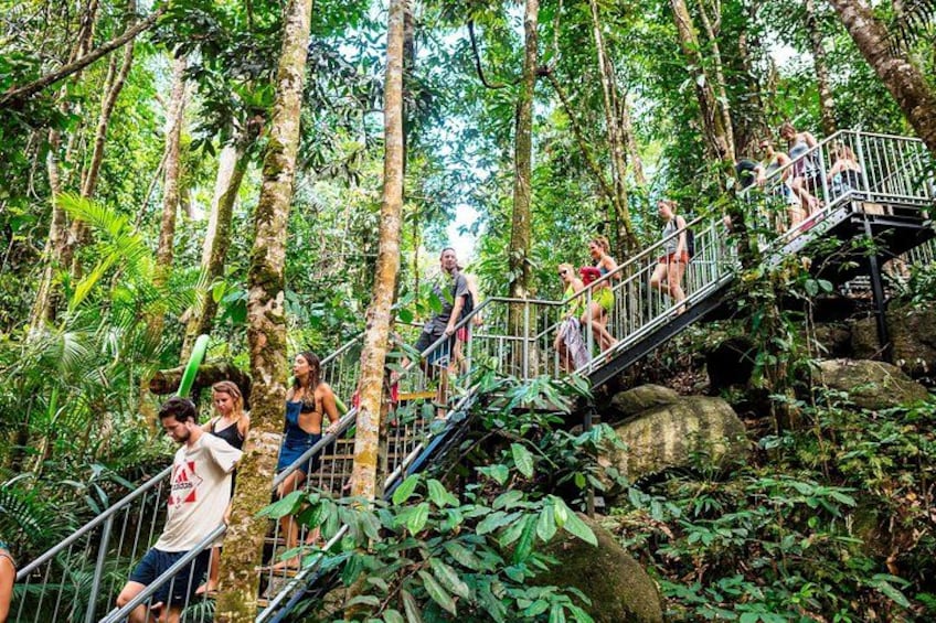 Informative Rainforest Walks 4