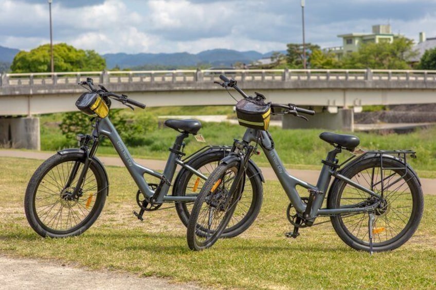 Kyoto E-Bike Tour: The Silver Pavilion & Philosopher's Path 5