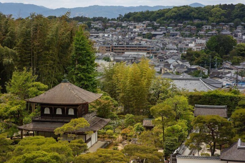 Kyoto E-Bike Tour: The Silver Pavilion & Philosopher's Path 2