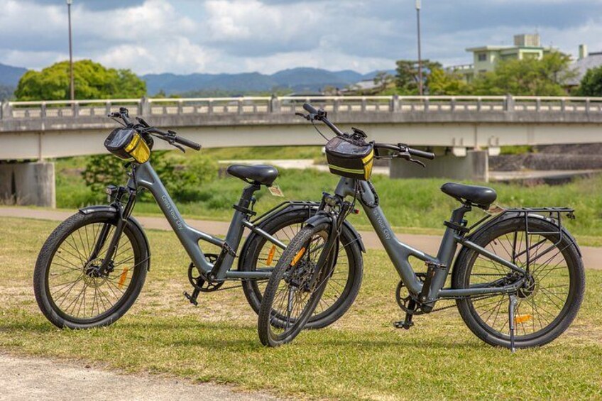 Kyoto E-Bike Tour: The Silver Pavilion & Philosopher's Path 5