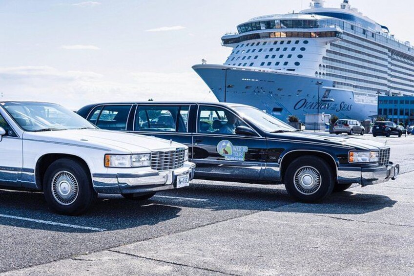 Tour in comfort and style 4