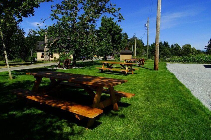 A shady spot to taste the finest wines. 2
