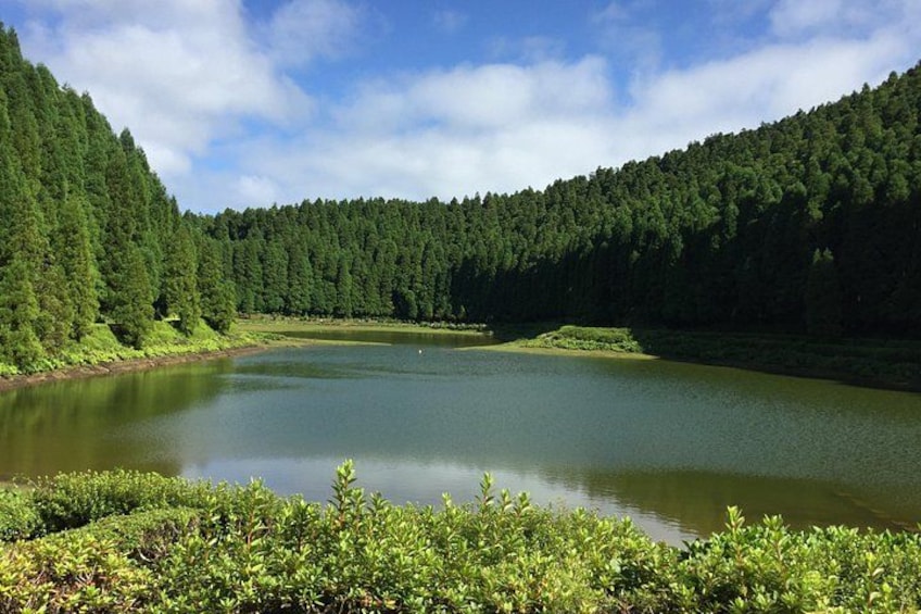 Un lago rodeado de un bosque frondoso, con aguas tranquilas y cielo despejado. 3