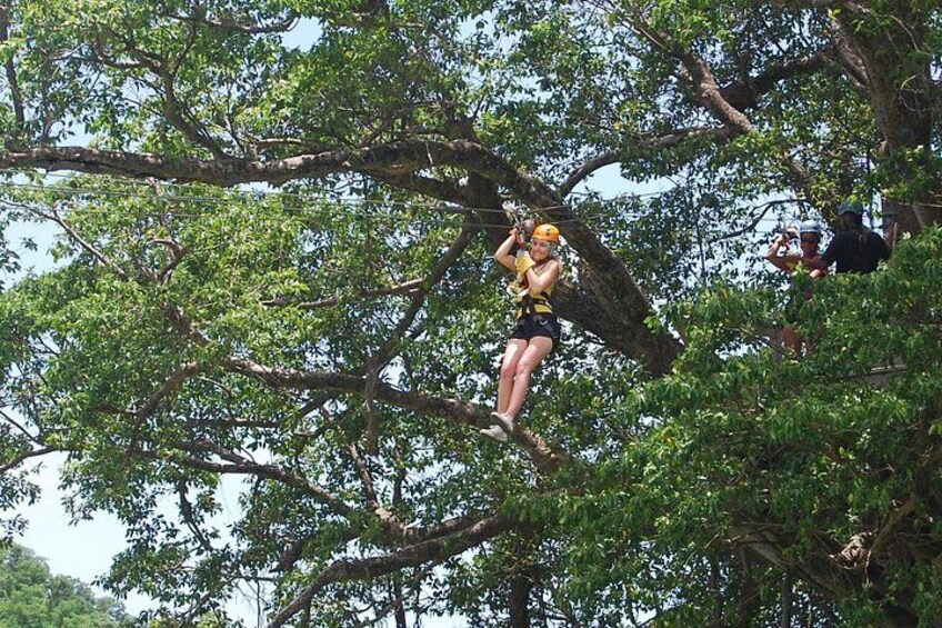 Una persona che vola su una zipline attraverso una foresta. 2