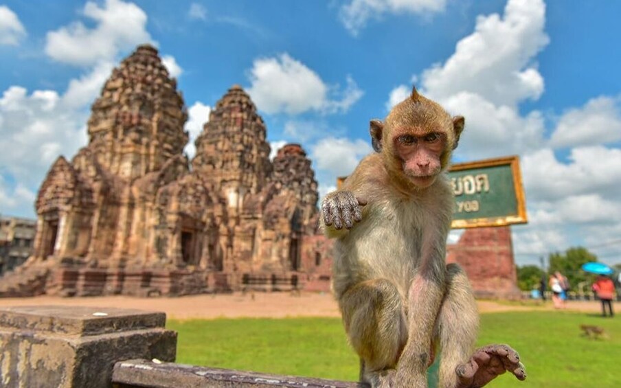 Picture 12 for Activity Bangkok: Ayutthaya & Lopburi Monkey Temple Private Day Trip 5