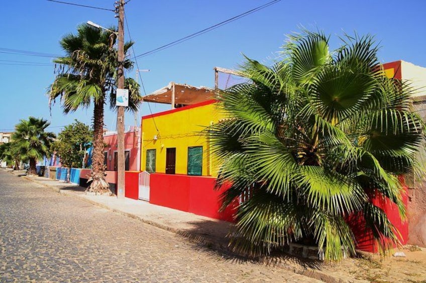 Una calle empedrada bordeada de palmeras y edificios de colores. 2
