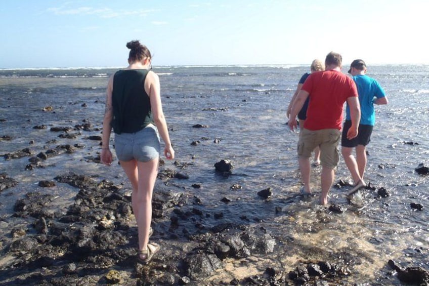 People walking on a rocky beach with the ocean in the background. 2