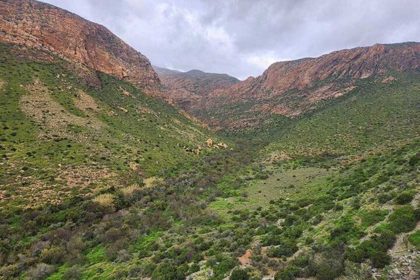 5 Day Garden Route Tour - Port Elizabeth to Cape Town 3