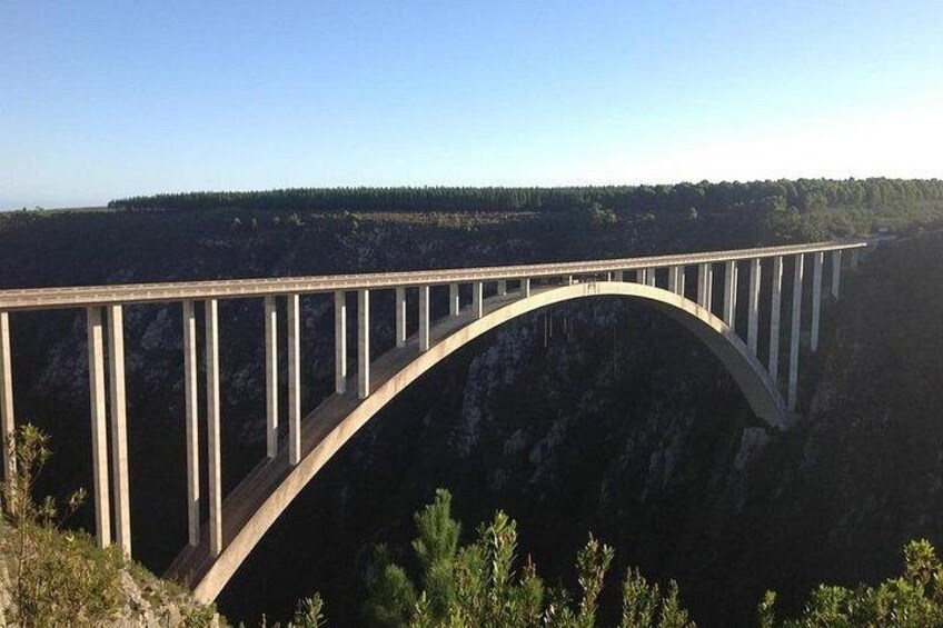 5 Day Garden Route Tour - Port Elizabeth to Cape Town 4