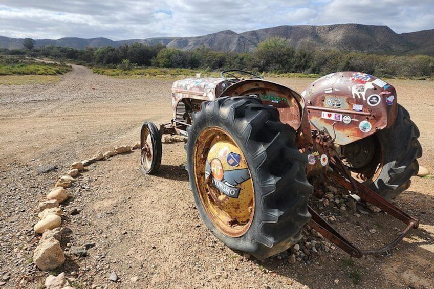 5 Day Garden Route Tour - Port Elizabeth to Cape Town 2