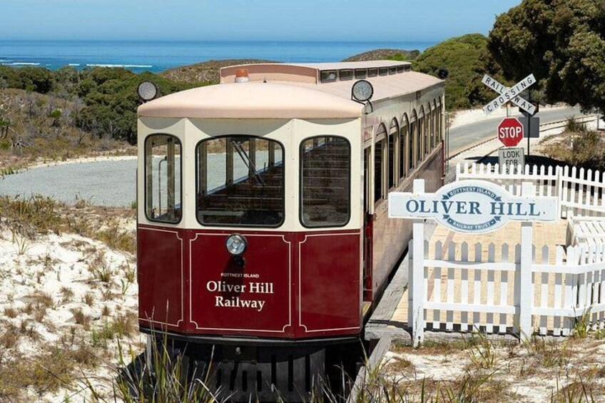 Rottnest Island Oliver Hill Train & Tunnel Tour 5