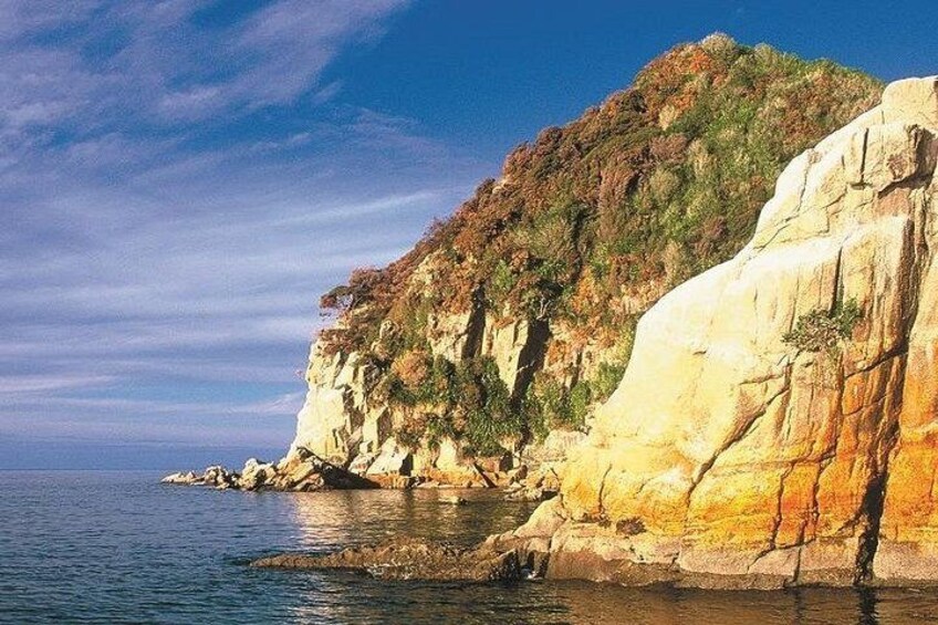 Remote Coast 5