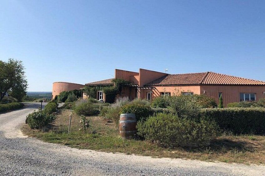 Winery Tour & Wine Tasting - Deli Plate & 3 Wines 4