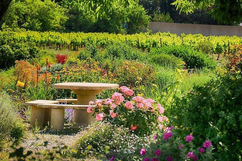 Garden & Merlot 5