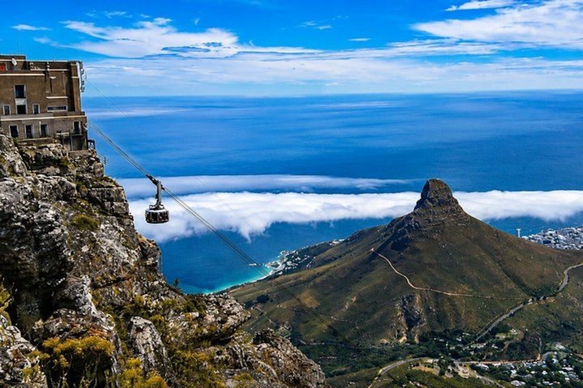 Cape Town: Guided Table Mountain Tour with Pickup and Drop-Off 3