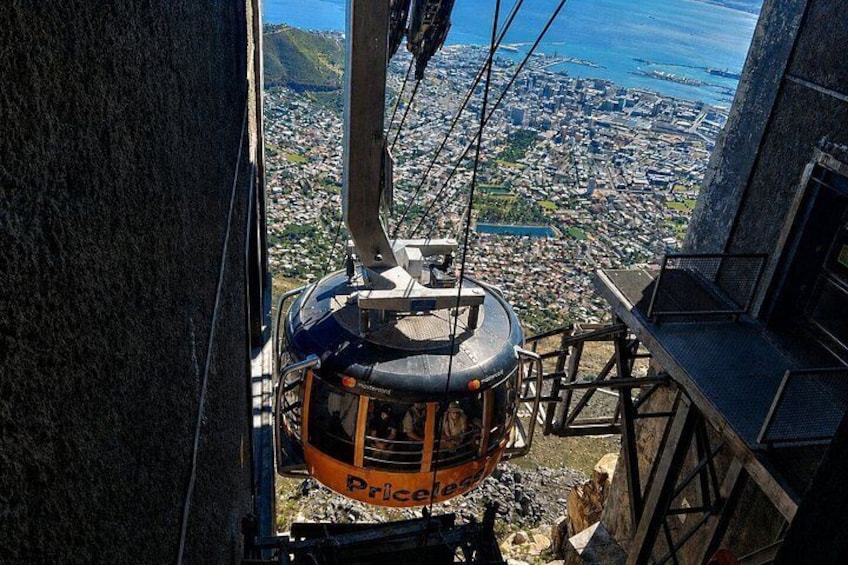 Cape Town: Guided Table Mountain Tour with Pickup and Drop-Off 3