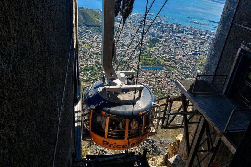Cape Town: Guided Table Mountain Tour with Pickup and Drop-Off 3