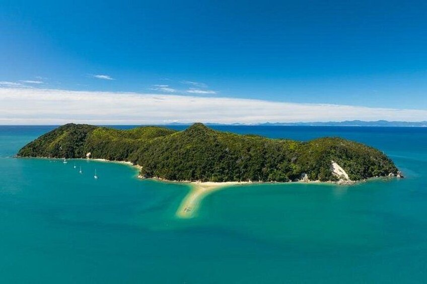 Abel Tasman Kayaks Adele Island 2