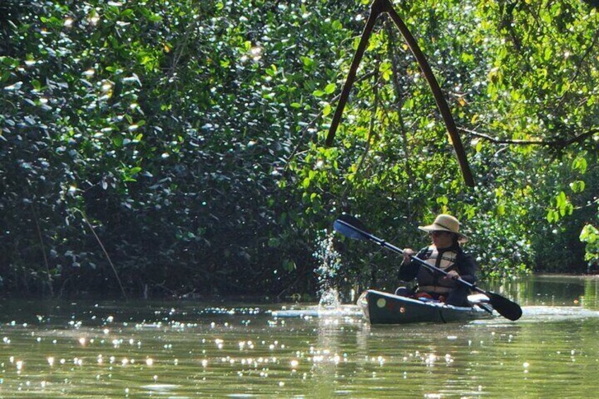 A person paddling a boat in a forested area with dense foliage and calm water. 3