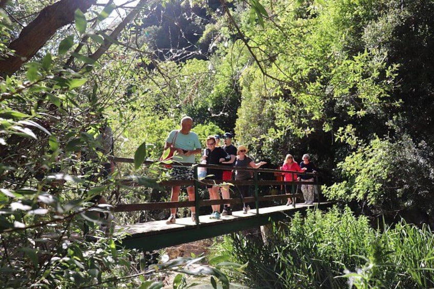 Hike Polilimnio waterfalls 2