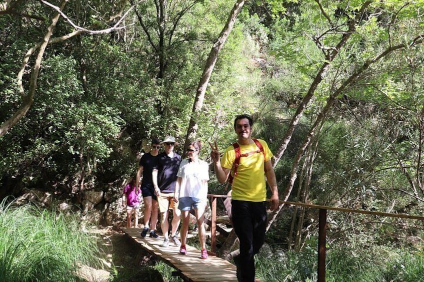 A group of people walking on a wooden bridge in a forested area. 2