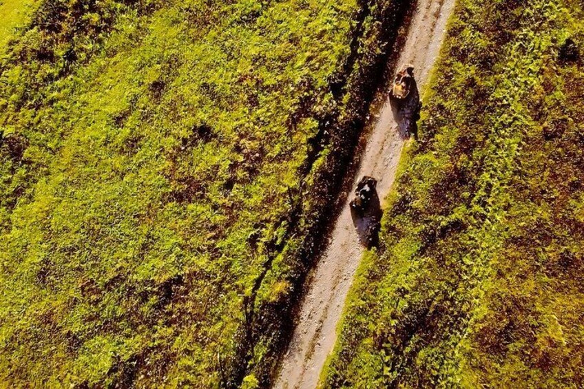 A dirt road with two people walking. 2