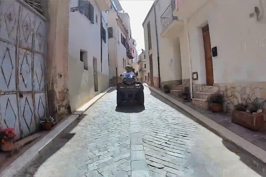 A narrow cobblestone street flanked by buildings with balconies and potted plants. 4