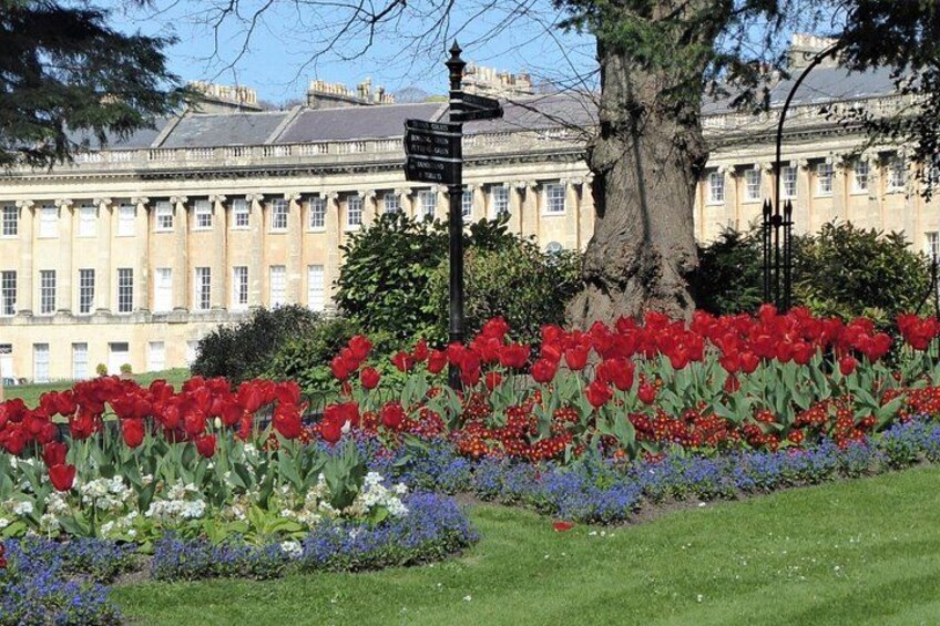 Un jardín con tulipanes rojos, un árbol grande y un edificio al fondo. 3