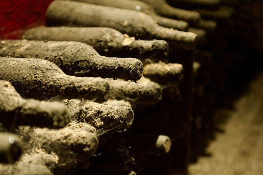 A close-up of a row of textured, cylindrical objects with a rough surface, possibly machinery or equipment. 4