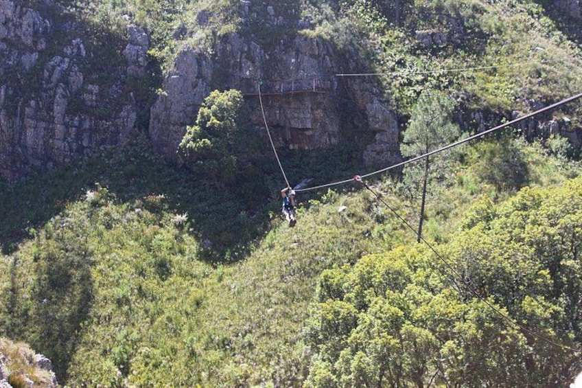 Ziplining in Elgin 3
