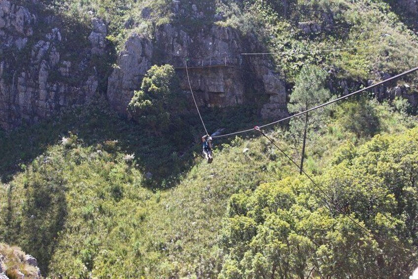 A zipline across a forested gorge with rocky cliffs. 3