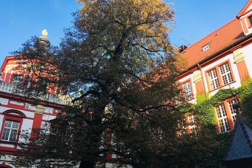 A large tree in front of a building with a red roof and white walls. 5