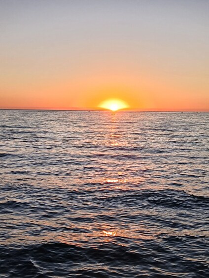 Picture 14 for Activity Cascais: Sunset Boat Trip with Welcome Drinks 4