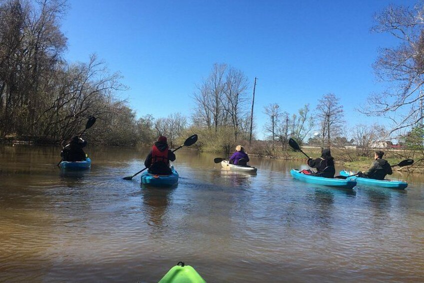 People kayaking on a calm river surrounded by trees. 3