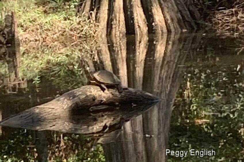 A bird perched on a tree branch. 3