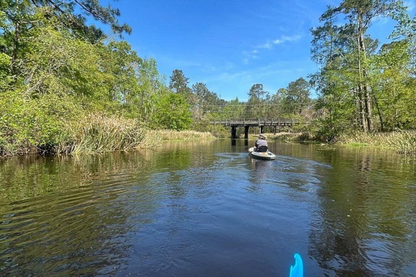 A calm river with a small boat, surrounded by dense greenery and a bridge in the background. 5