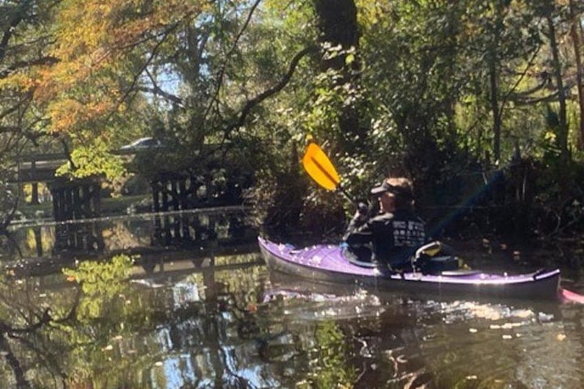 A person kayaking on a calm river surrounded by dense trees. 1