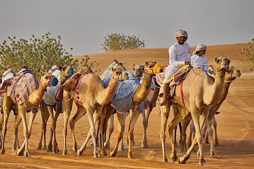 Un grupo de camellos con jinetes en un paisaje desértico. 5