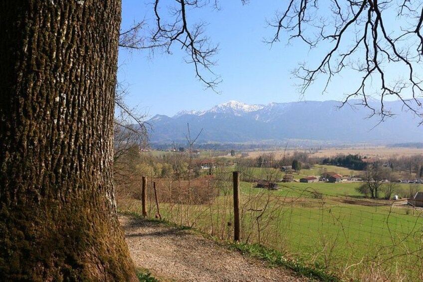 Un tronco de árbol, un camino de grava, una valla y un paisaje montañoso con picos nevados al fondo. 3