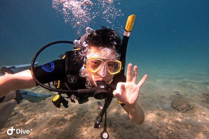 Premium Double Shore Diving in Athens for Certified Divers 4